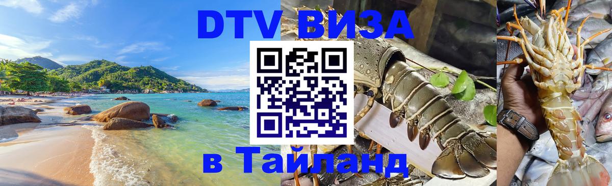 Сколько стоит DTV виза — актуальные цены, оформление даже без документов - Димитровград  19.11.2025 